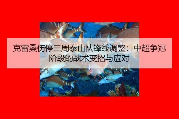 克雷桑伤停三周泰山队锋线调整：中超争冠阶段的战术变招与应对
